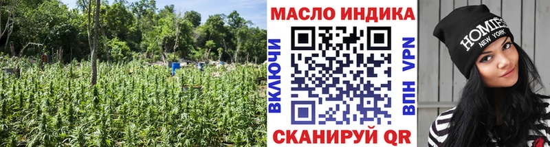 Купить где  Светогорск  Дистиллят ТГК THC oil 